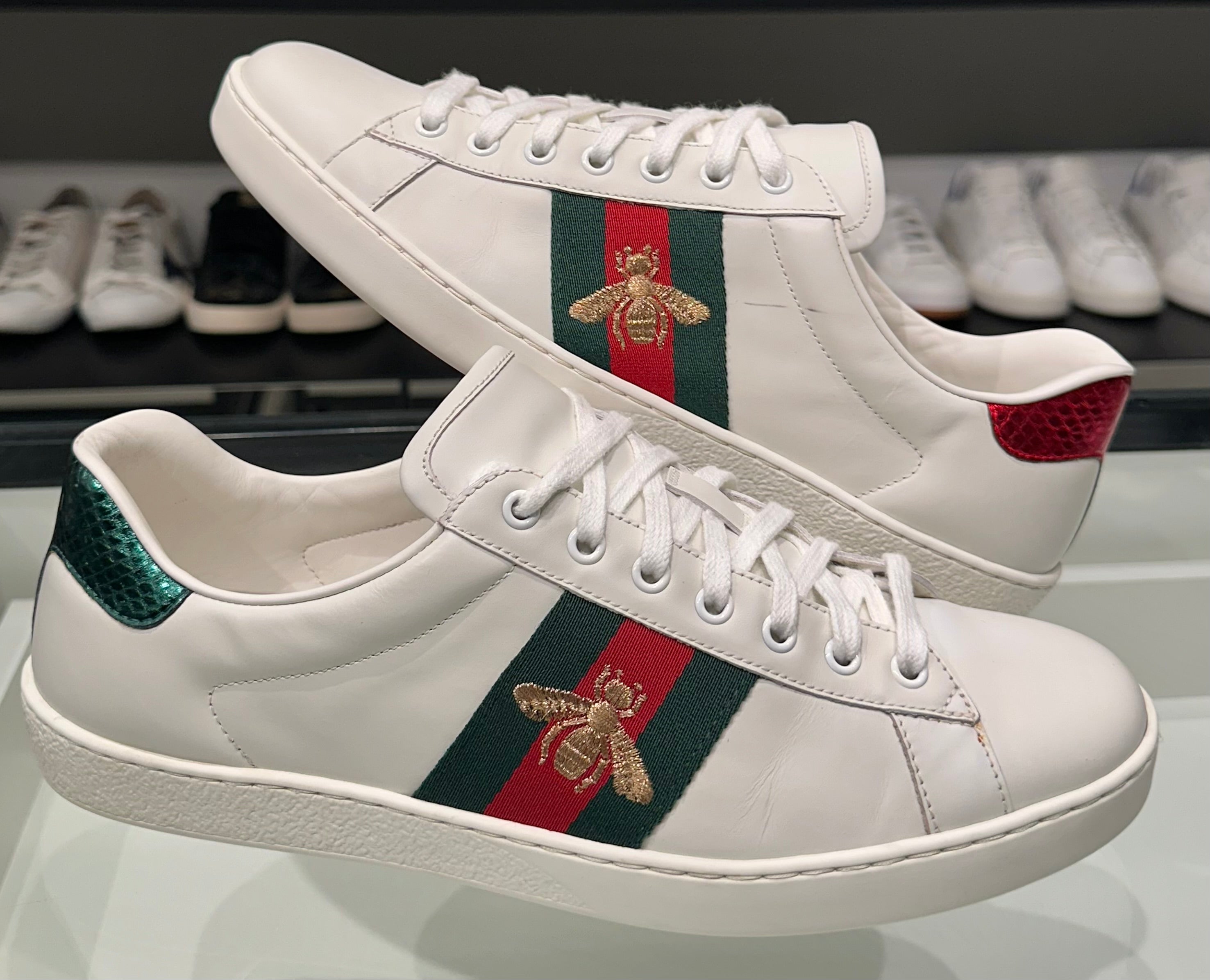 Sneaker Gucci