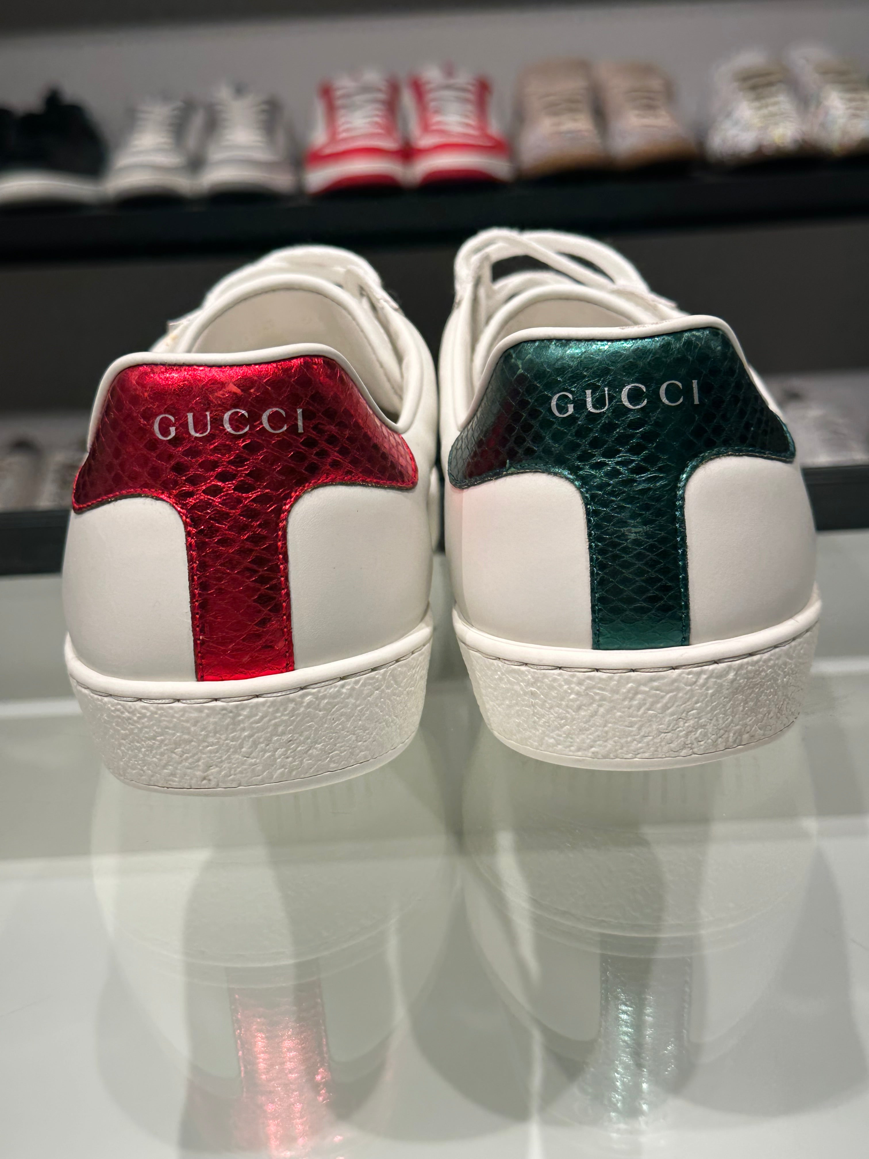 Sneaker Gucci