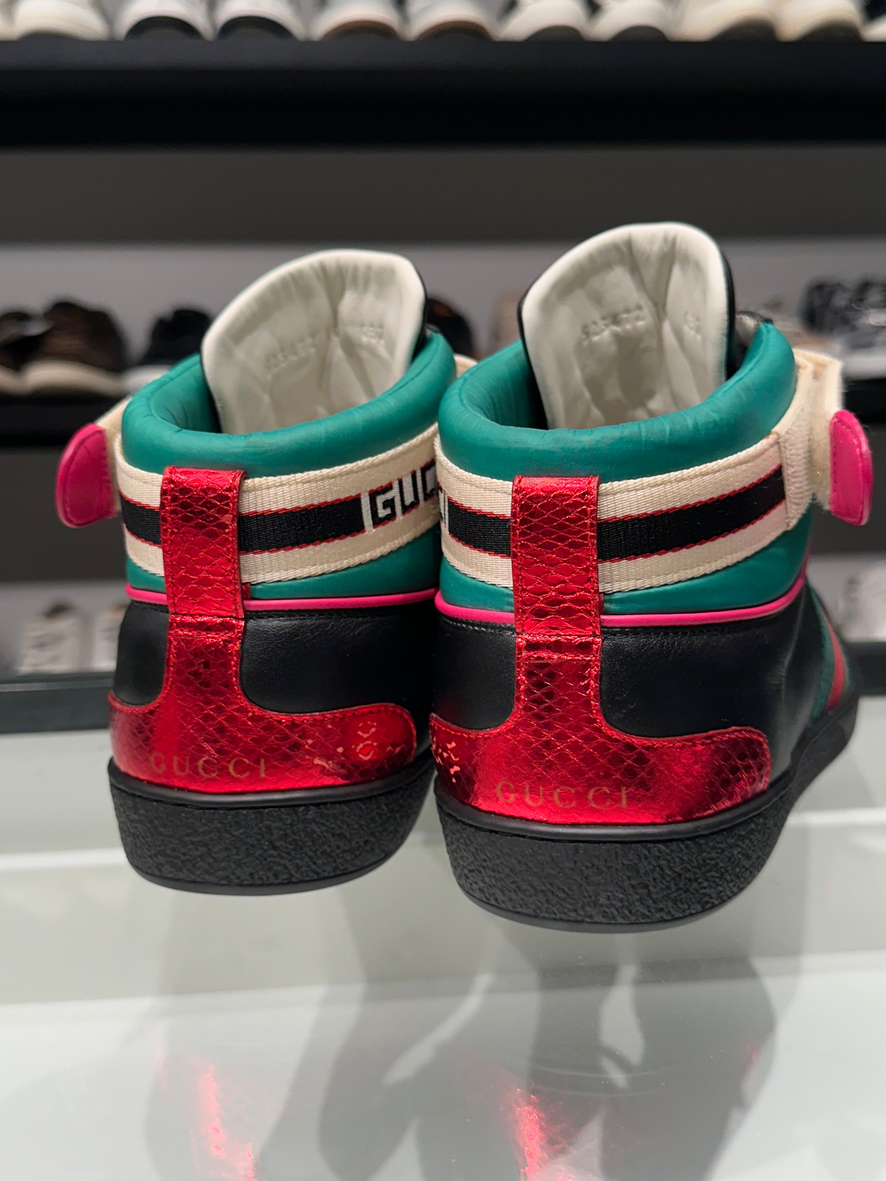 Sneaker Gucci