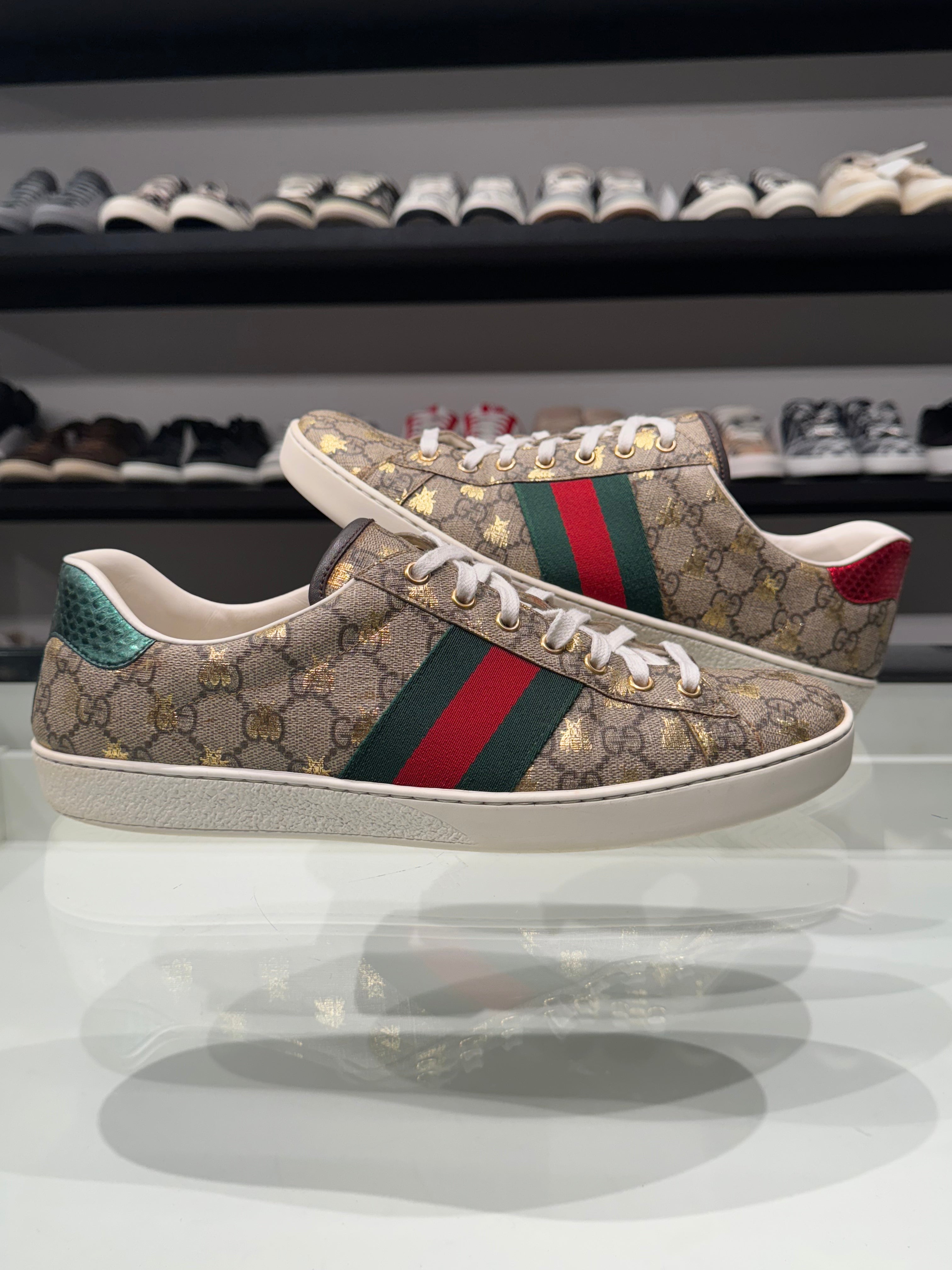 Sneaker Gucci
