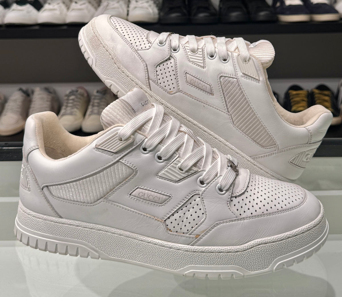 Sneaker Gucci