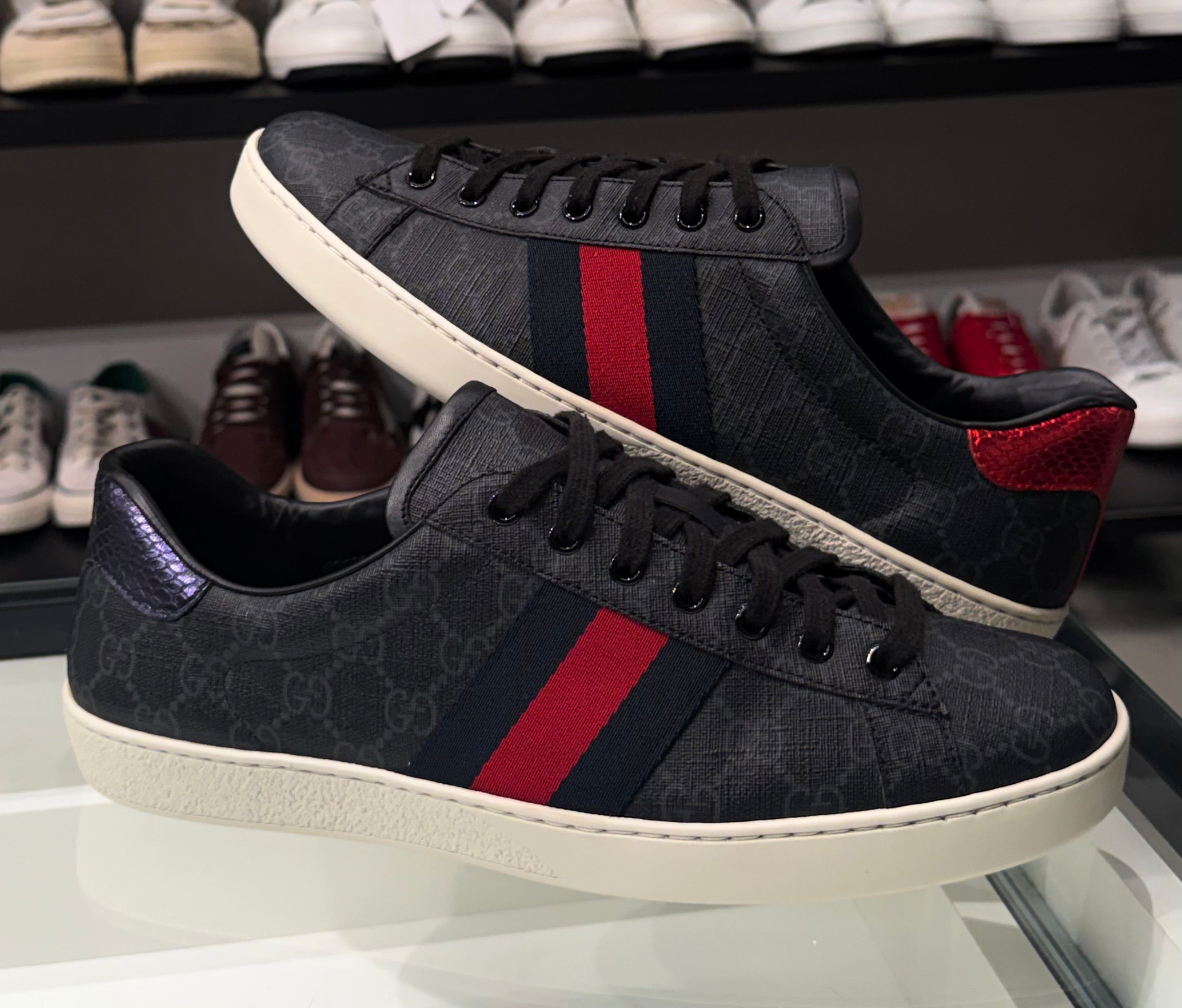 Sneaker Gucci Ace