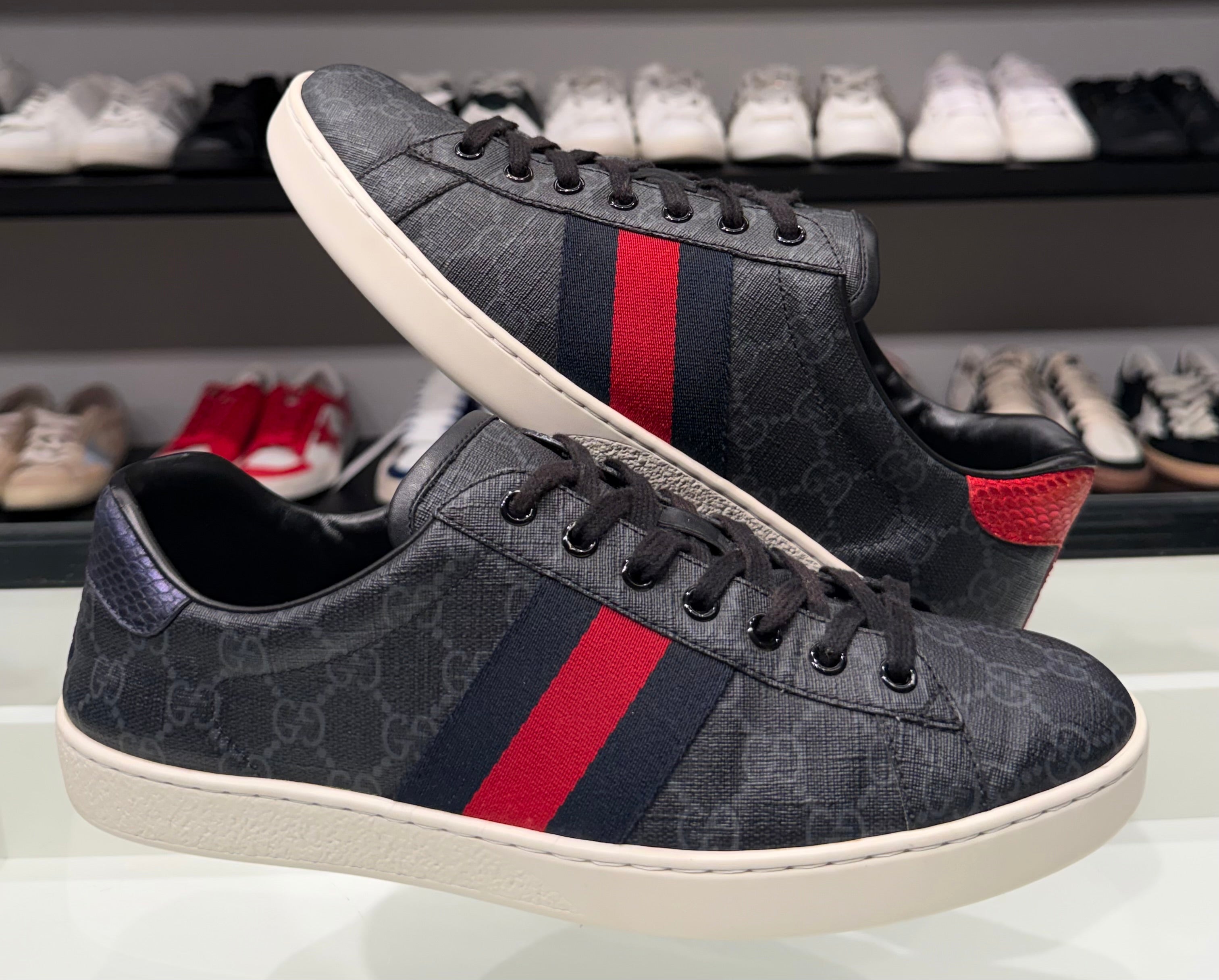 Gucci Ace