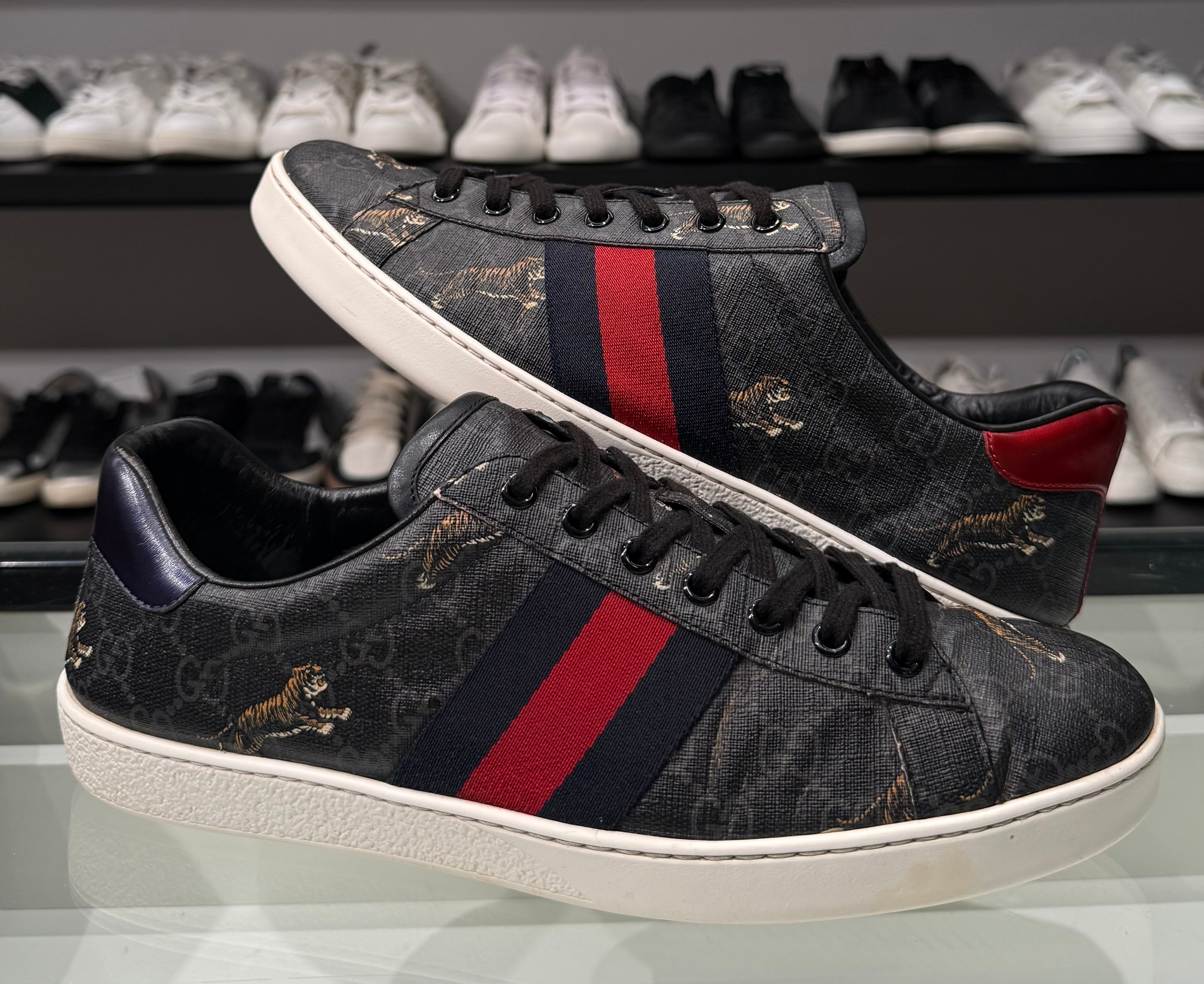 Sneaker Gucci