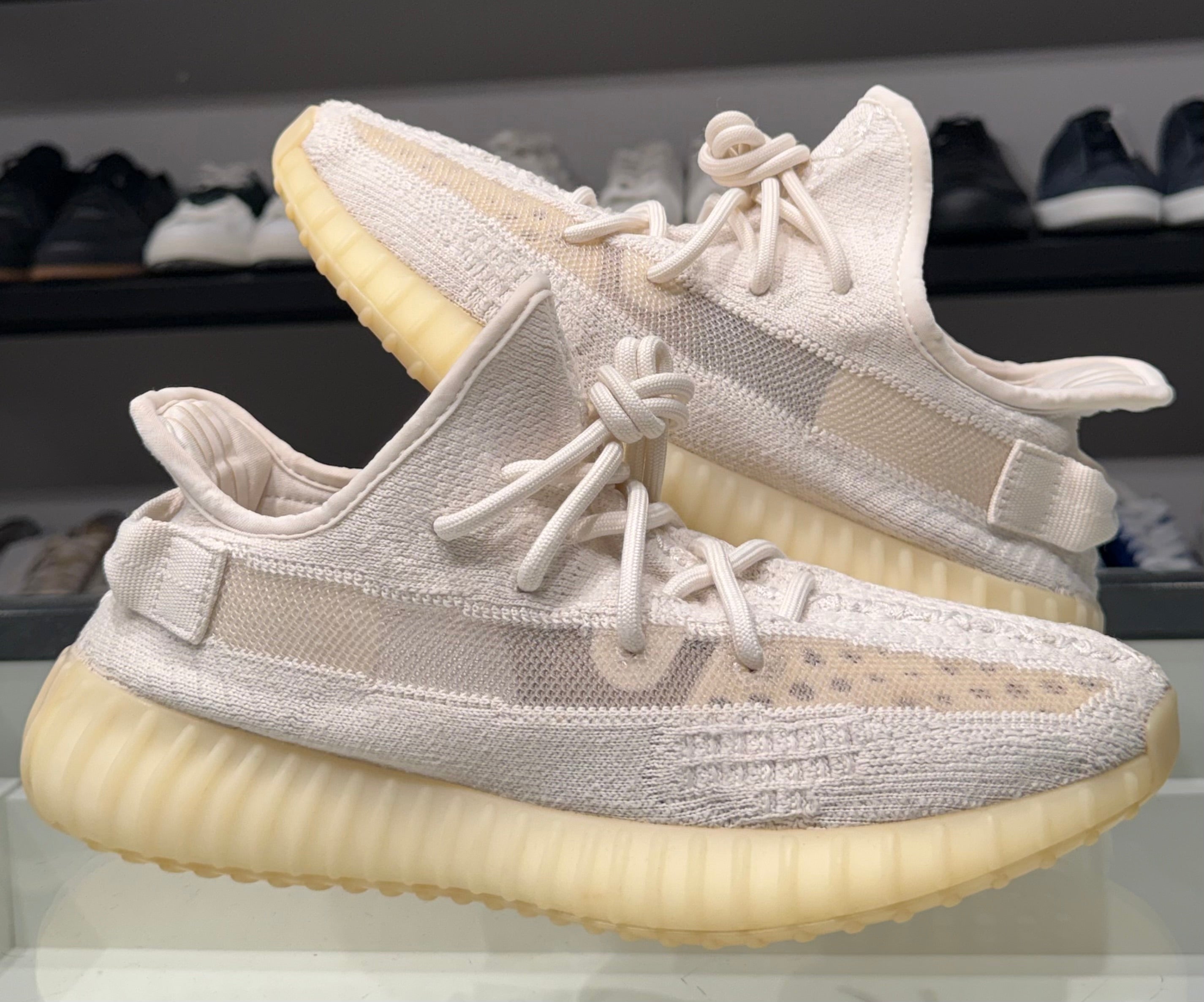 Yeezy Bone