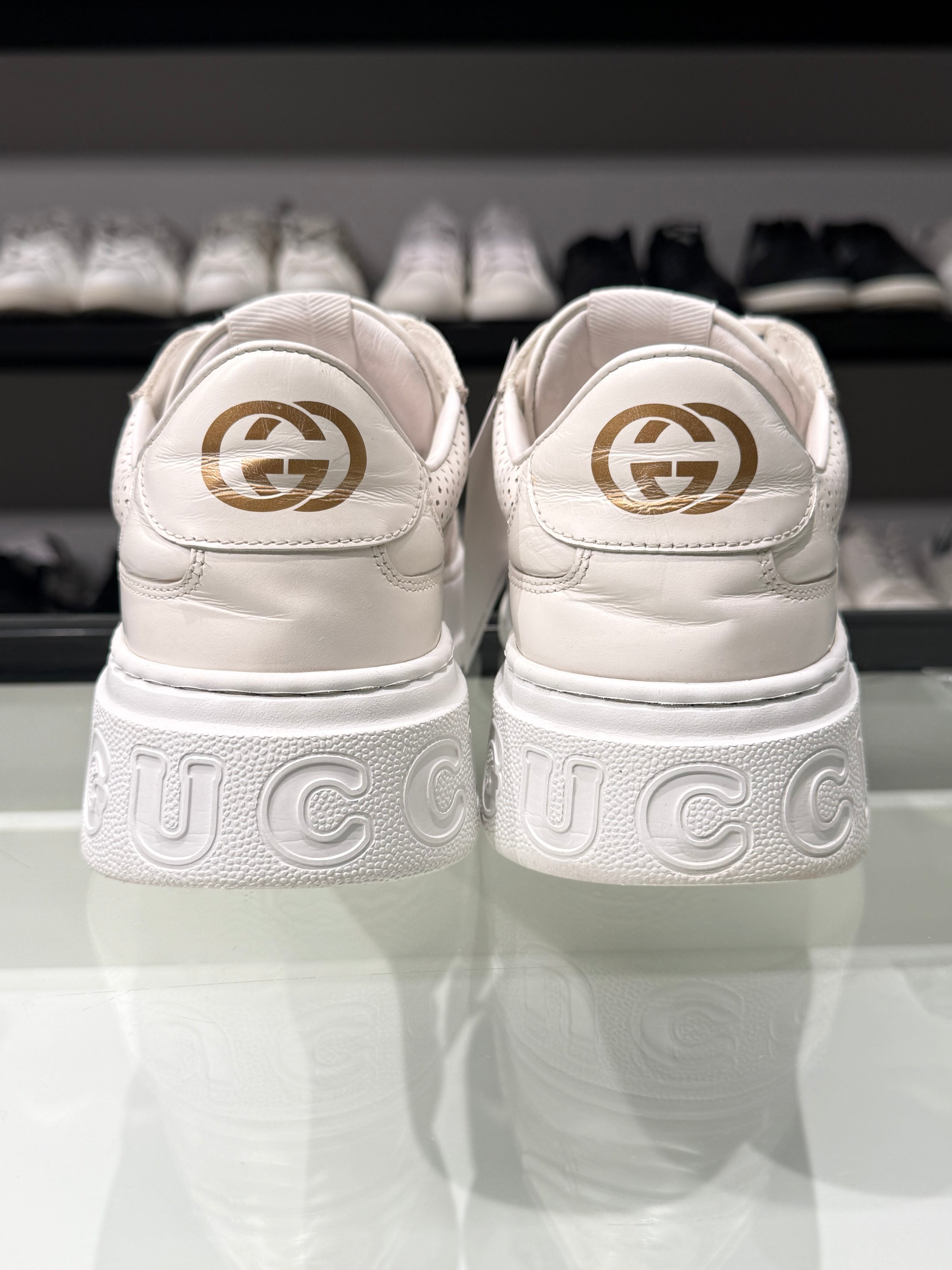 Sneaker Gucci