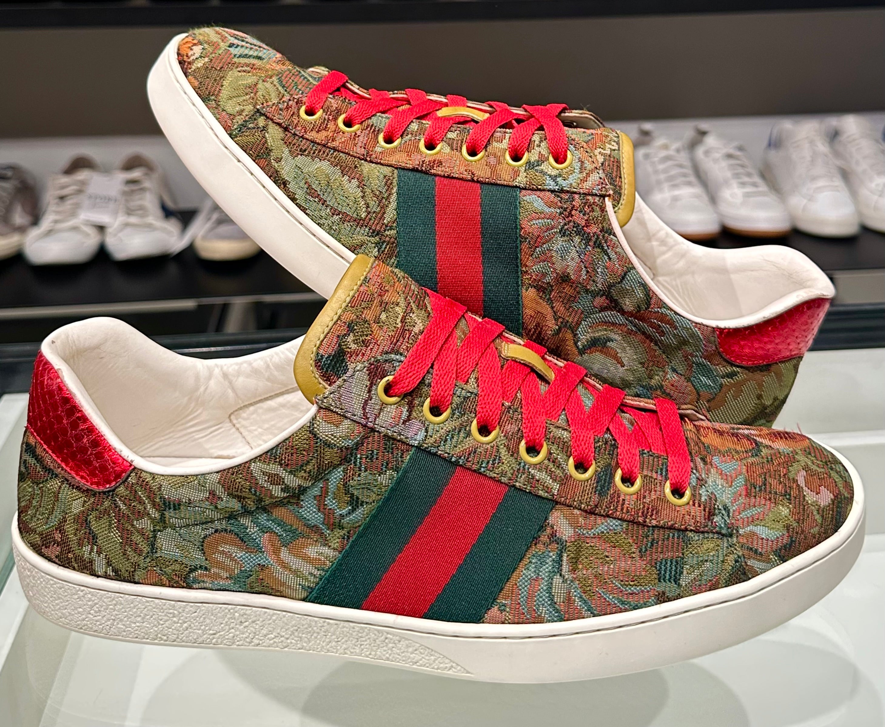Sneaker Gucci