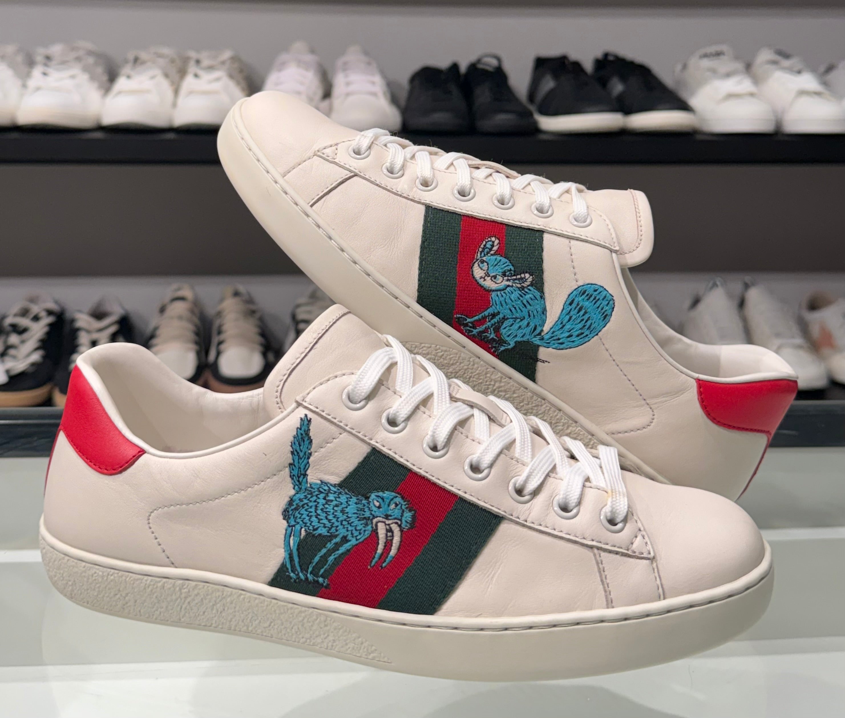 Sneaker Gucci