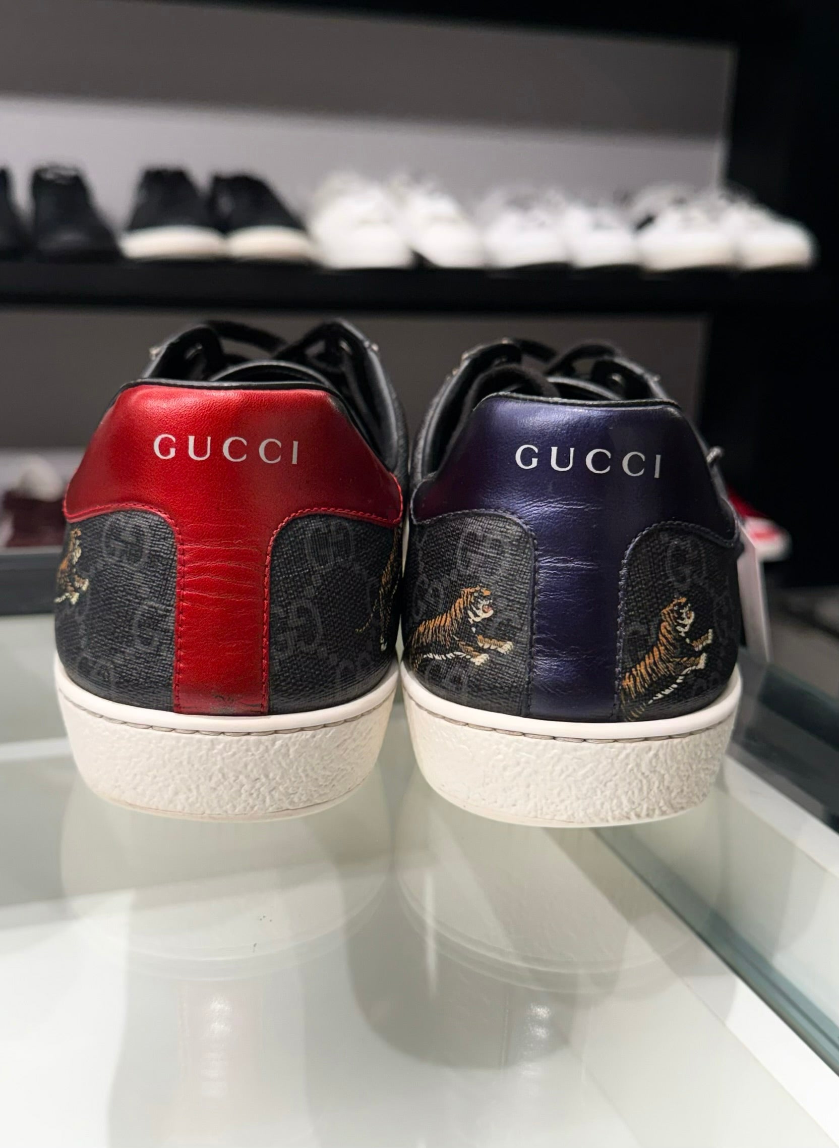 Sneaker Gucci