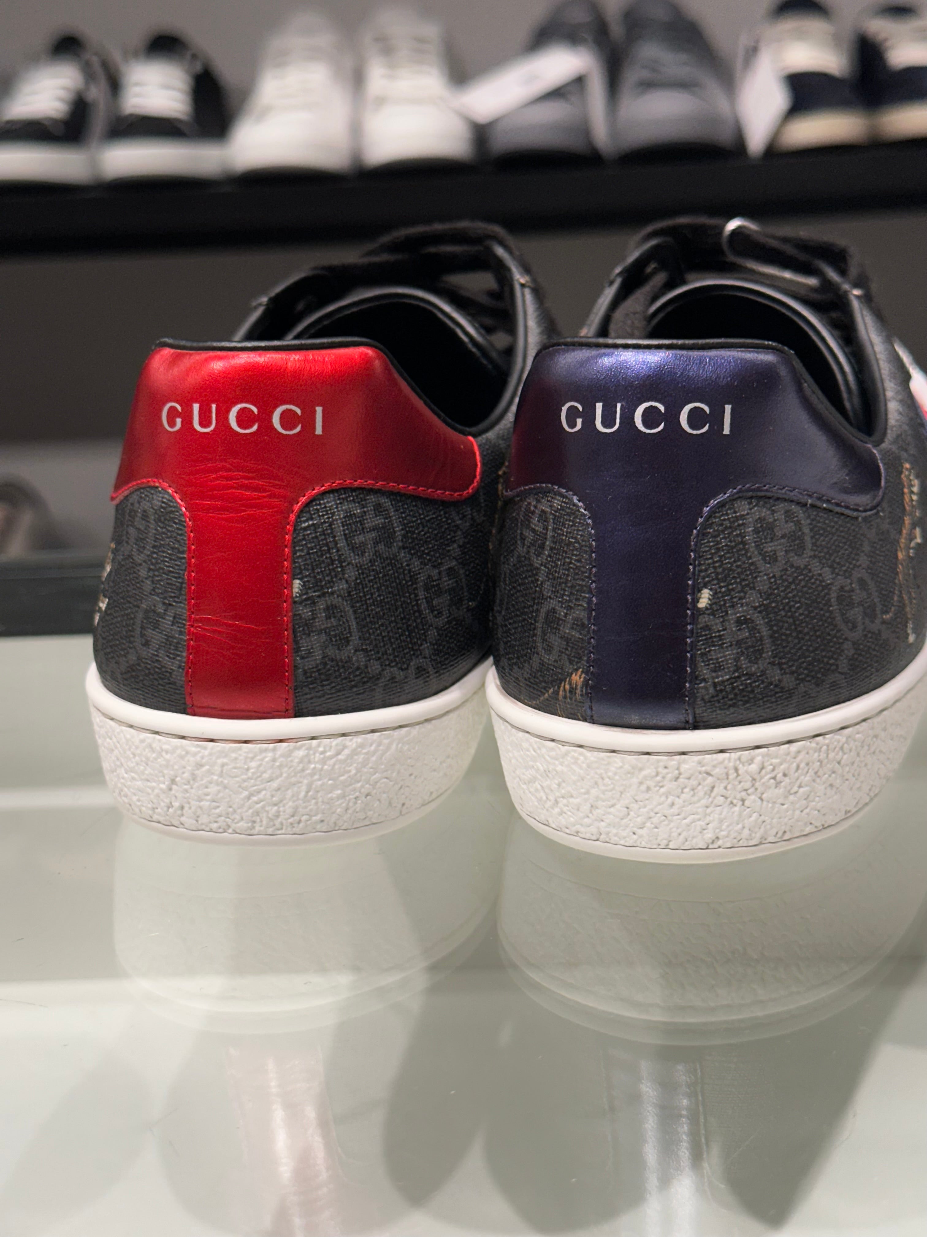 Gucci Ace