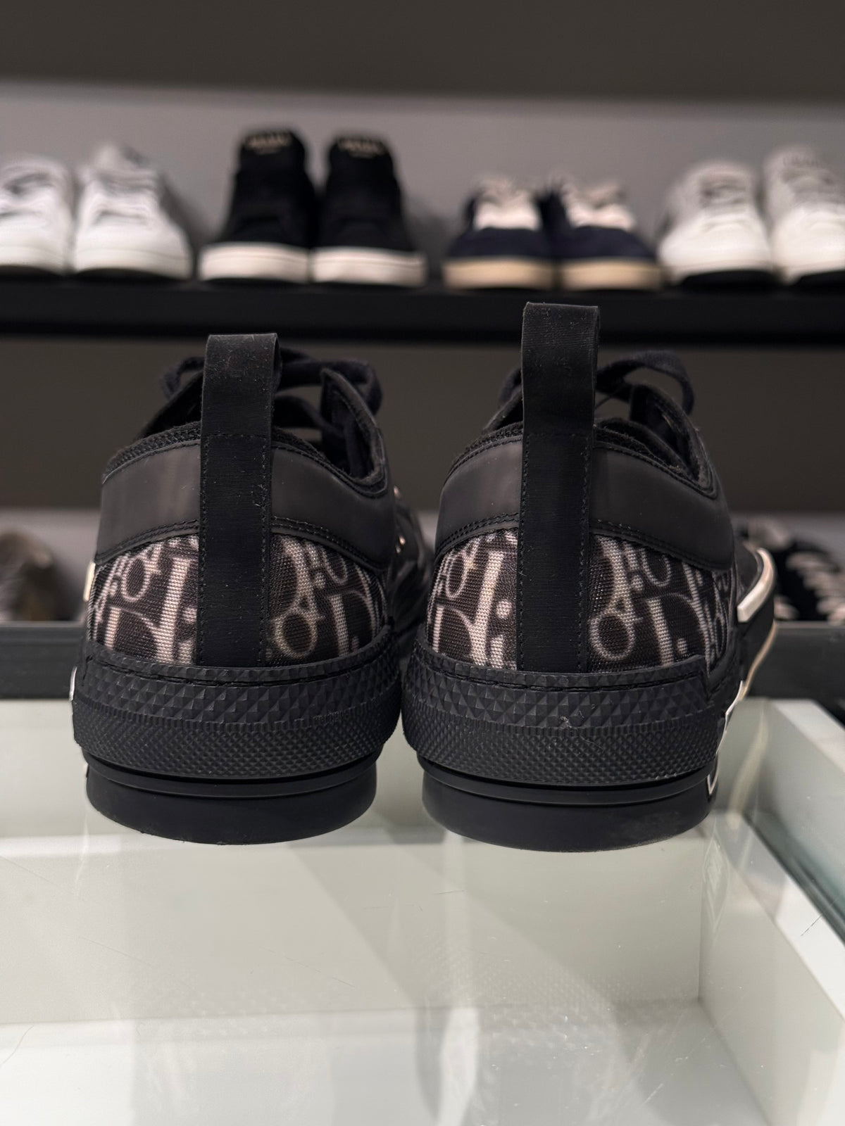 Sneaker Dior B23