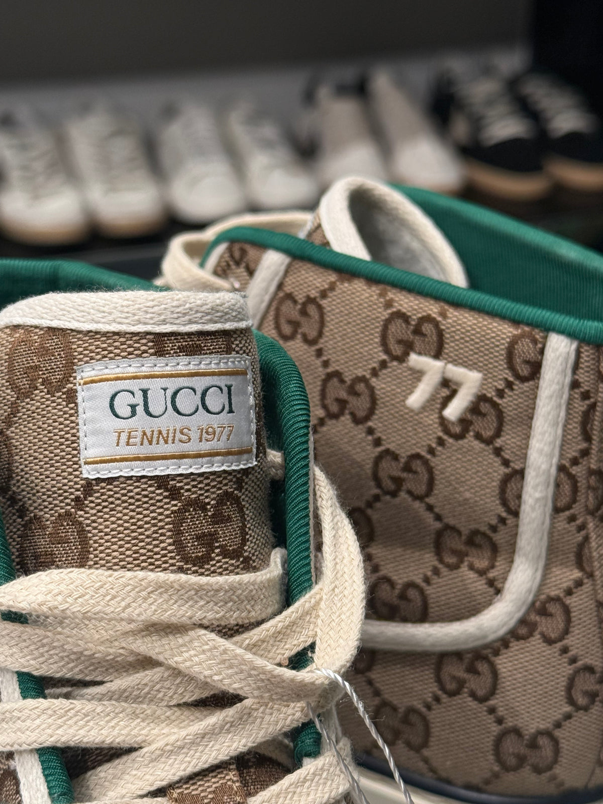Sneaker Gucci