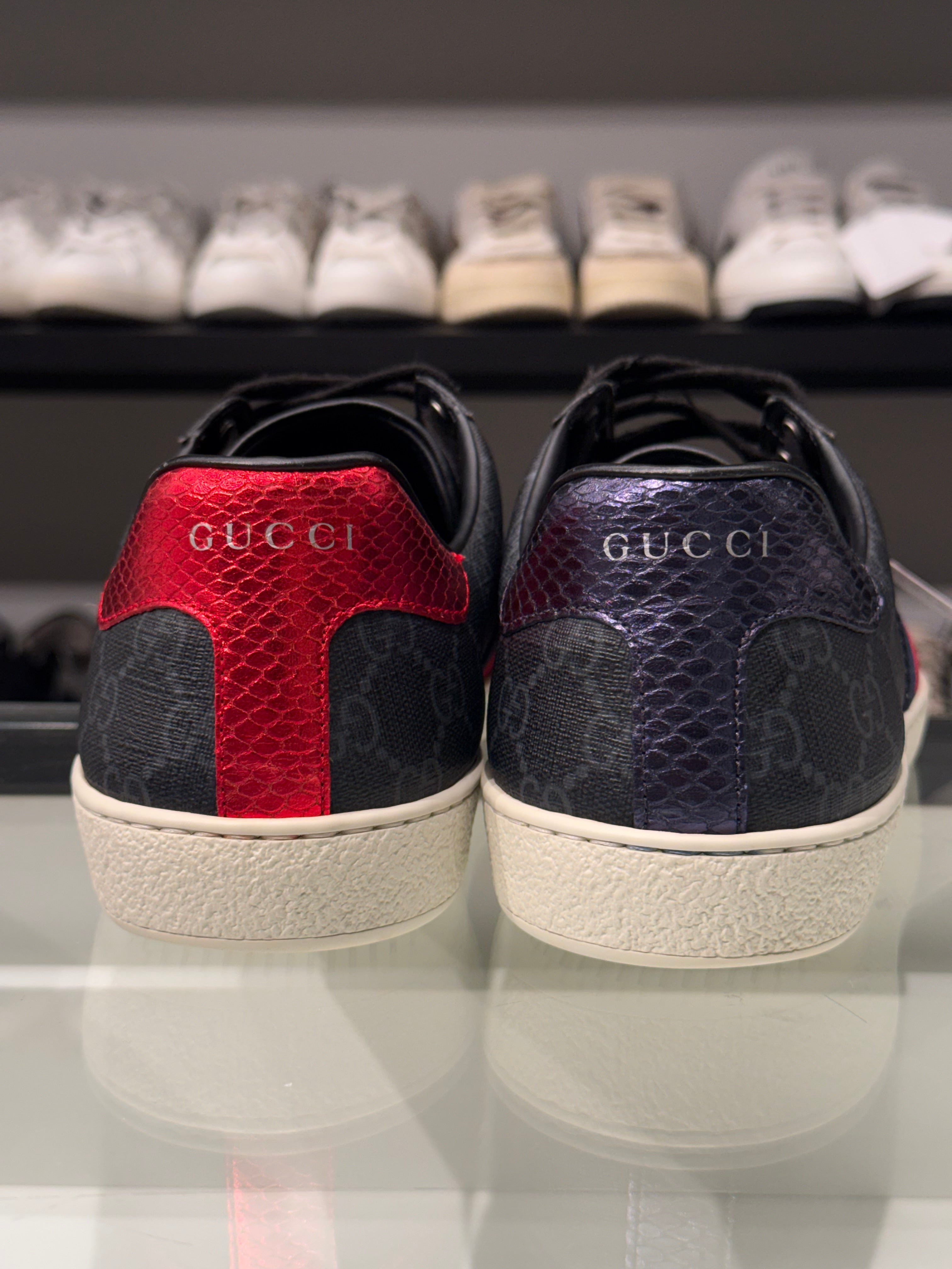 Sneaker Gucci Ace