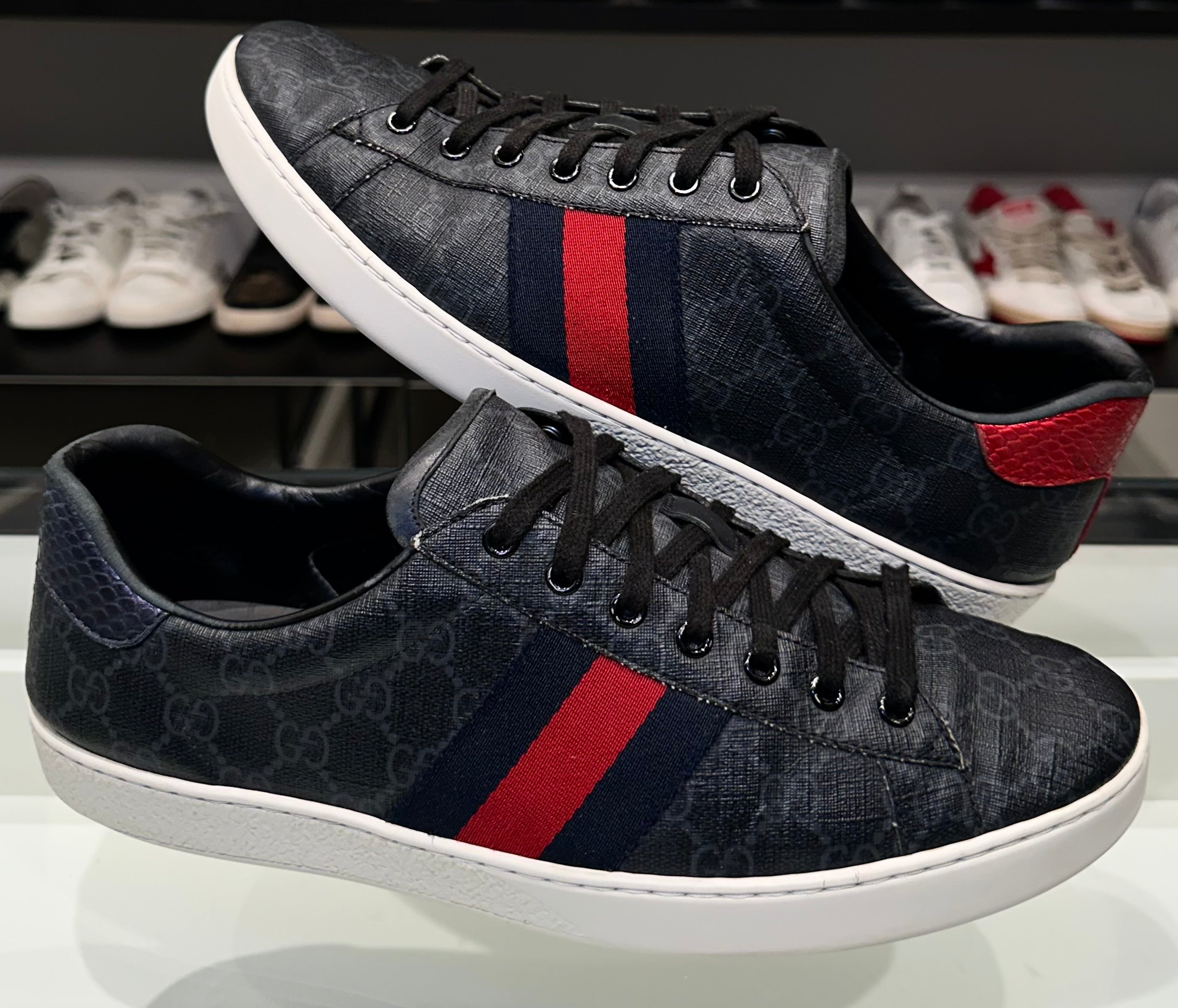 Gucci Ace