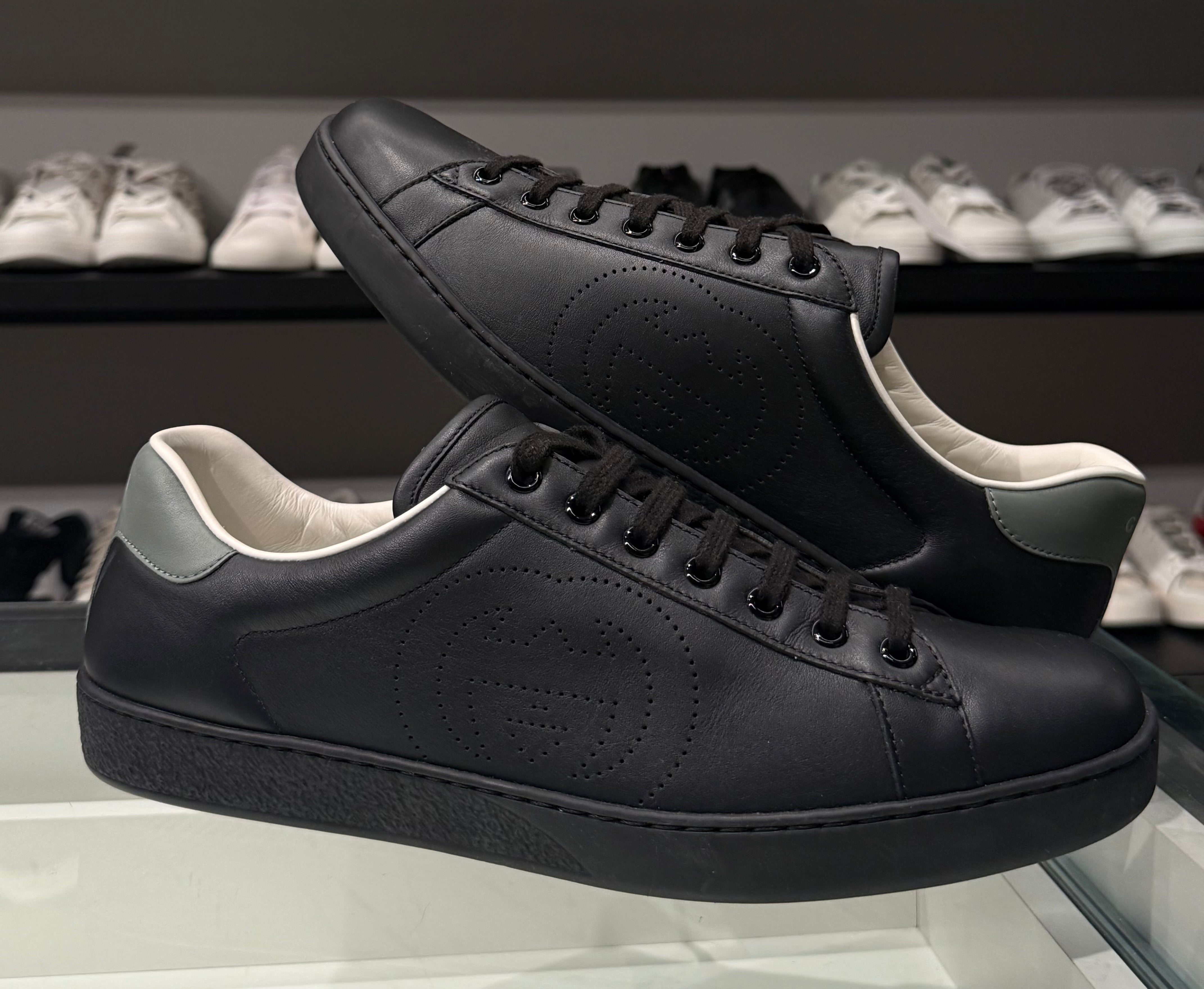 Sneaker Gucci Ace
