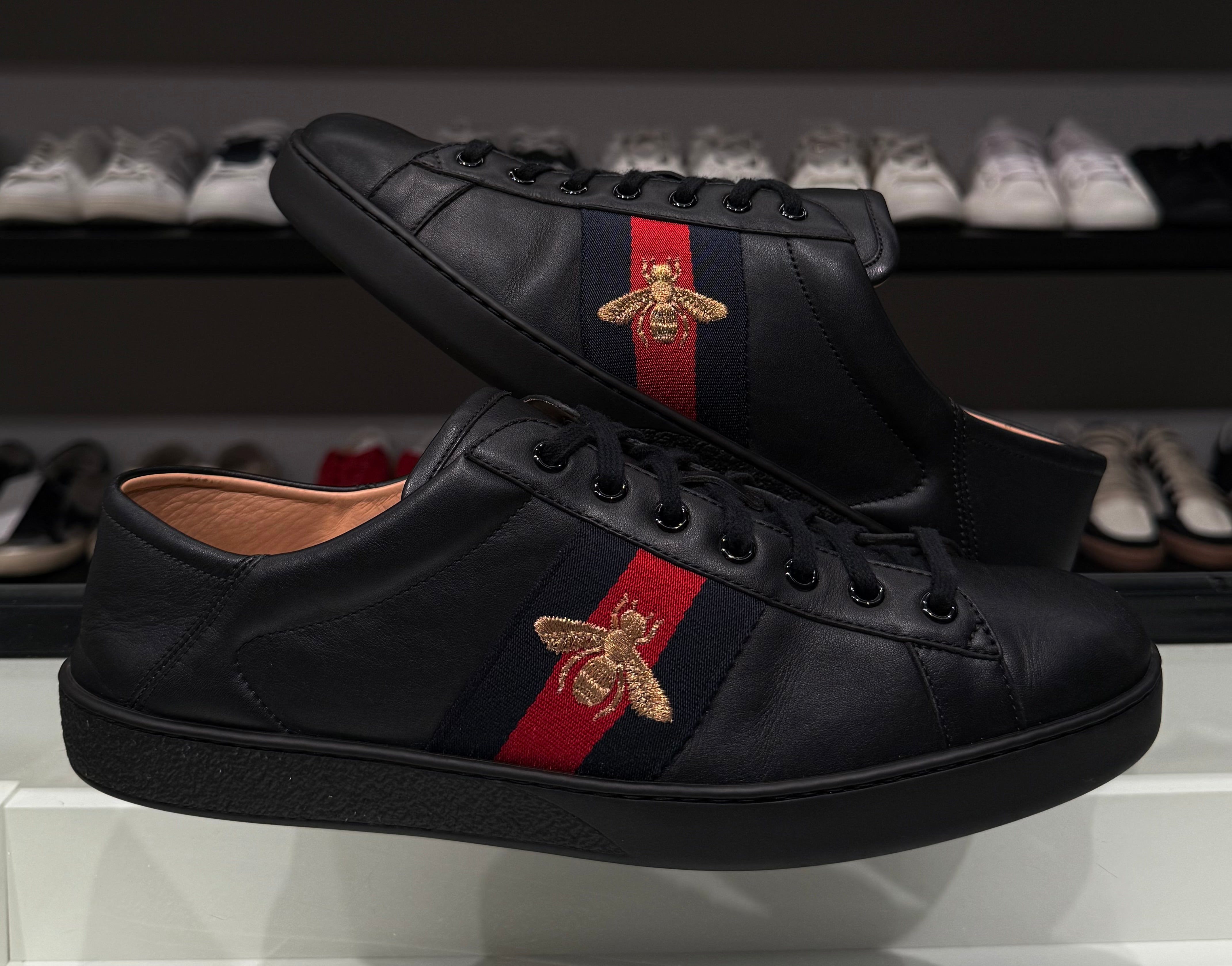 Sneaker Gucci