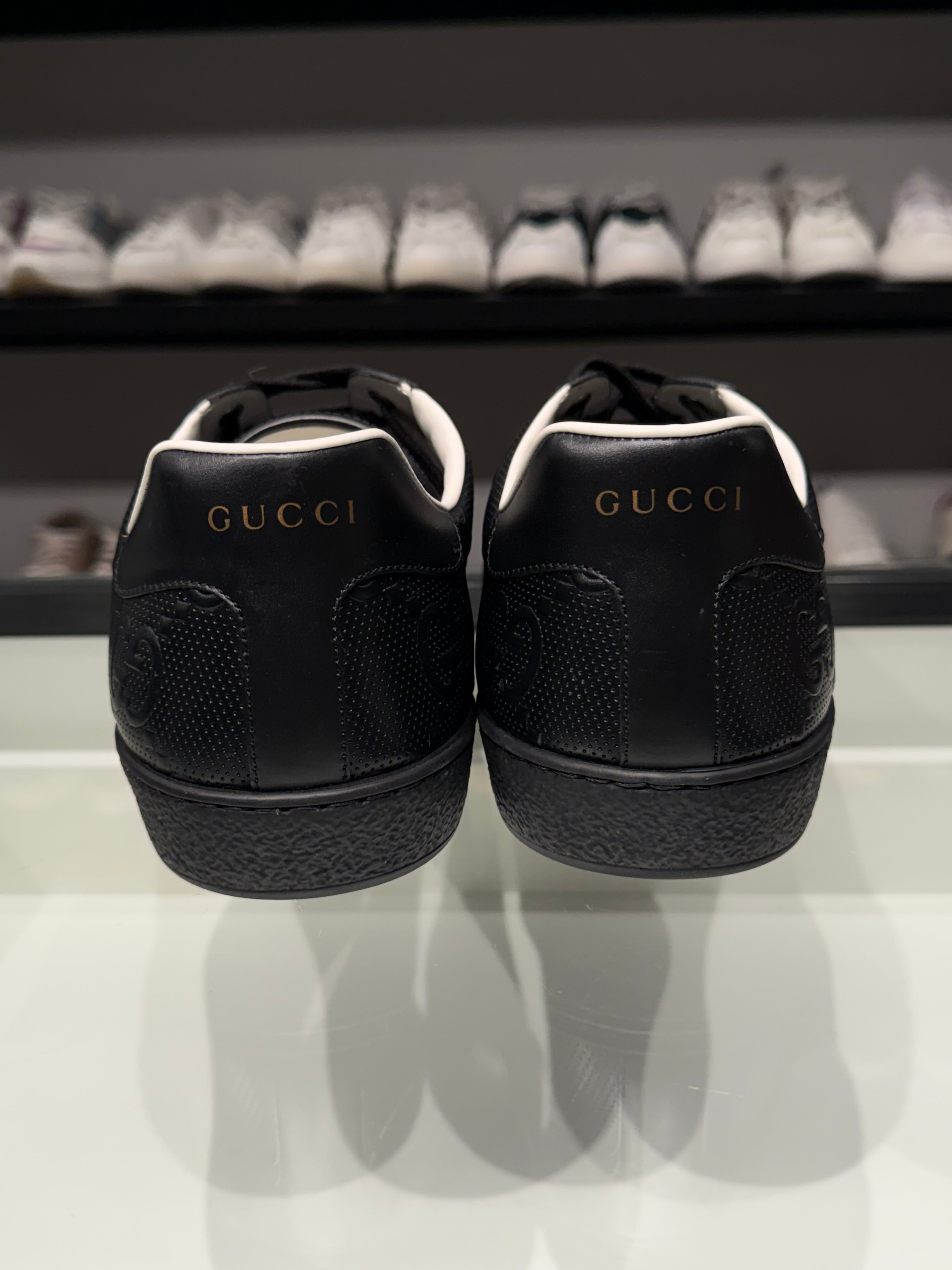 Sneaker Gucci