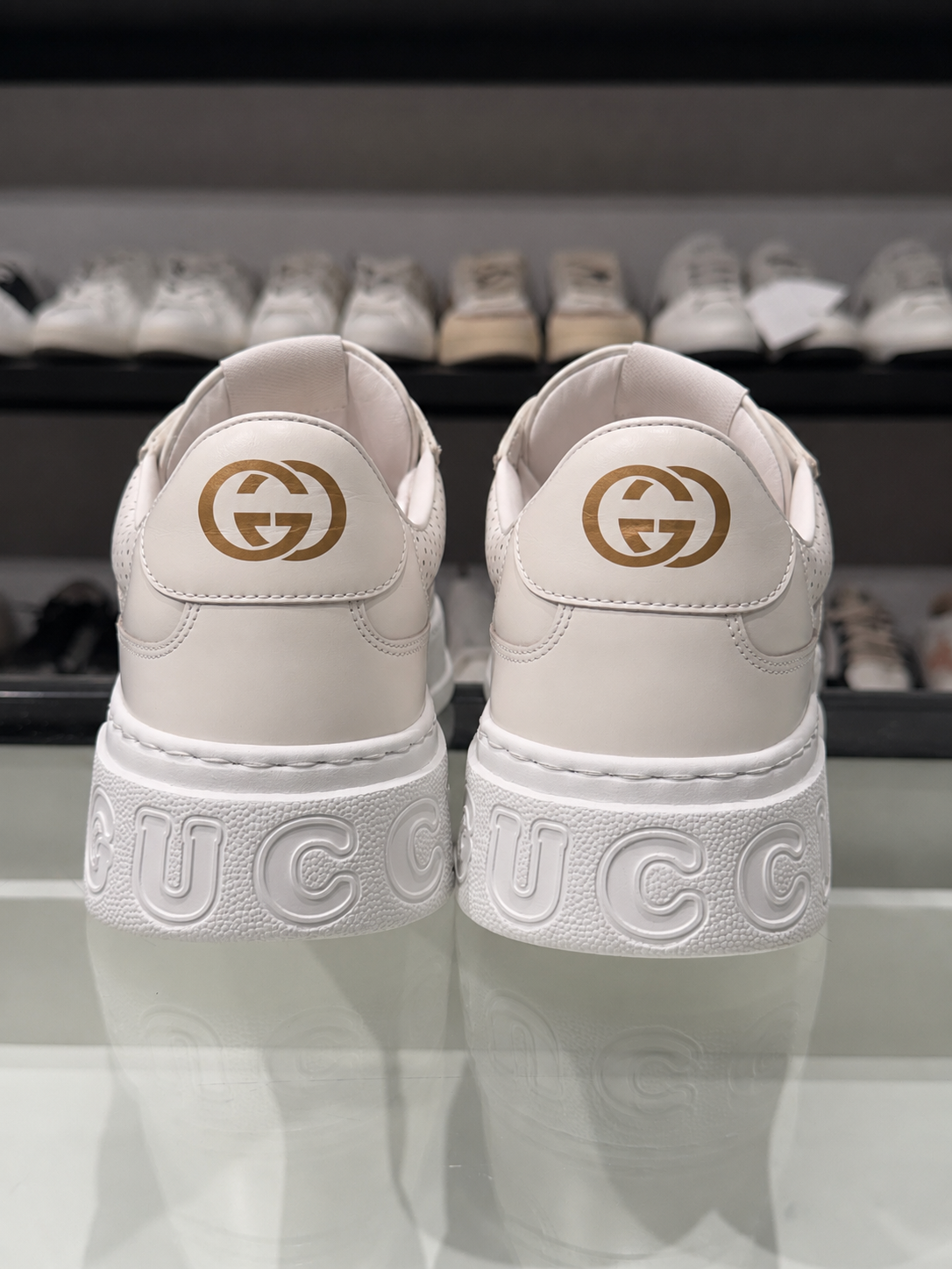 Sneaker Gucci
