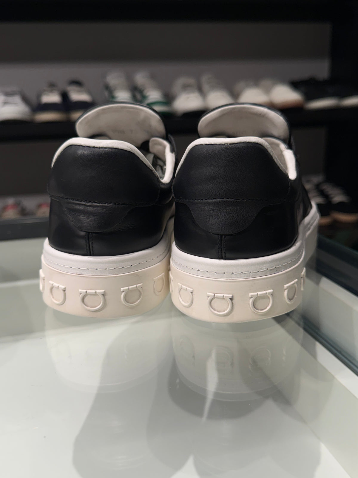 Sneaker Salvatore Ferragamo Borg