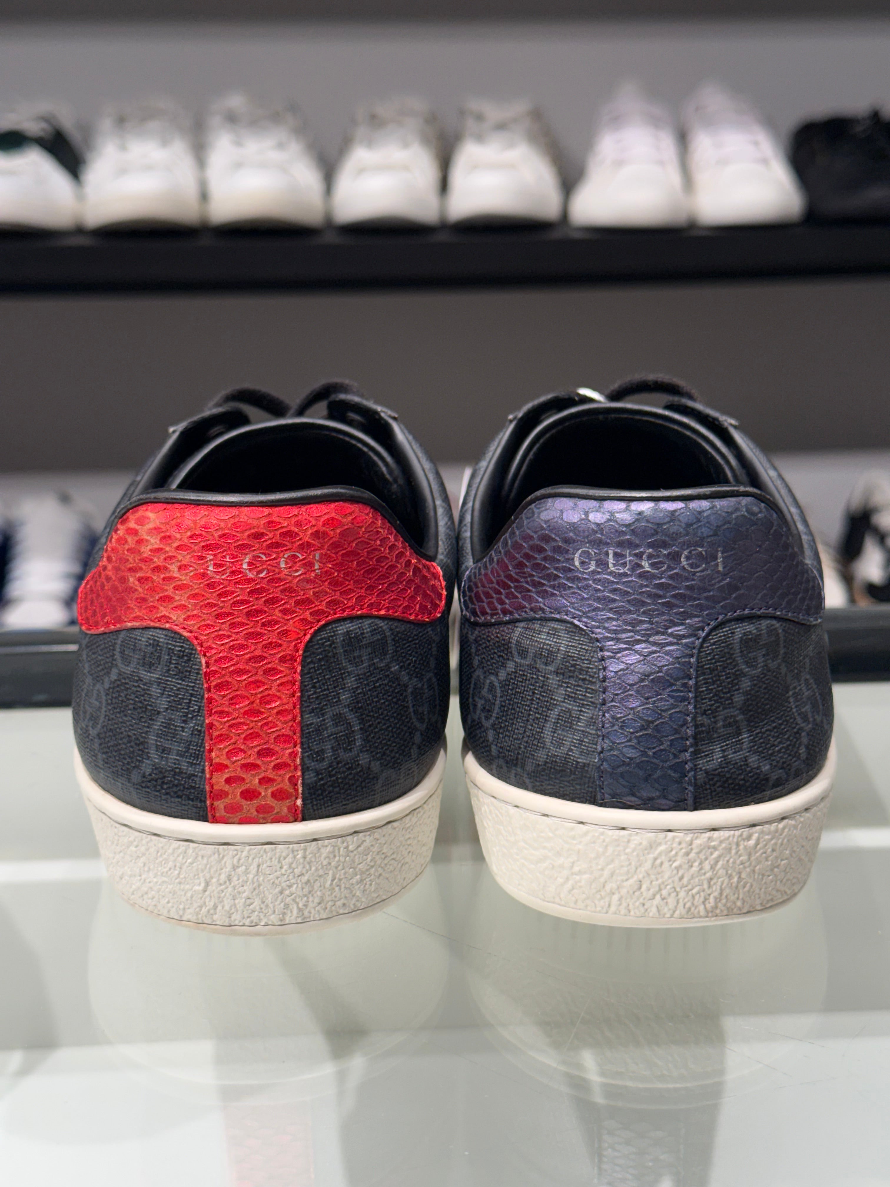 Gucci Ace