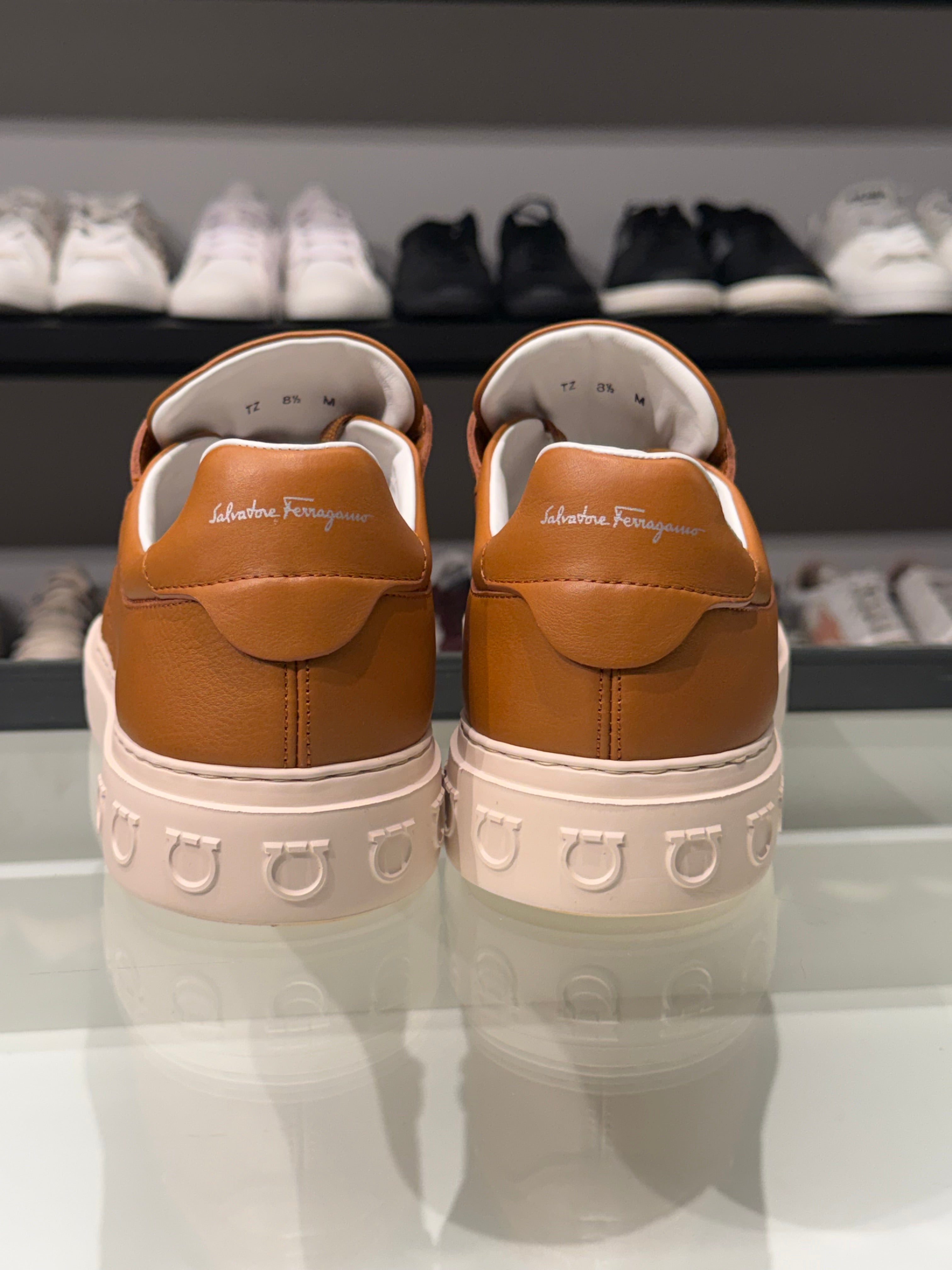 Sneaker Salvatore Ferragamo Borg