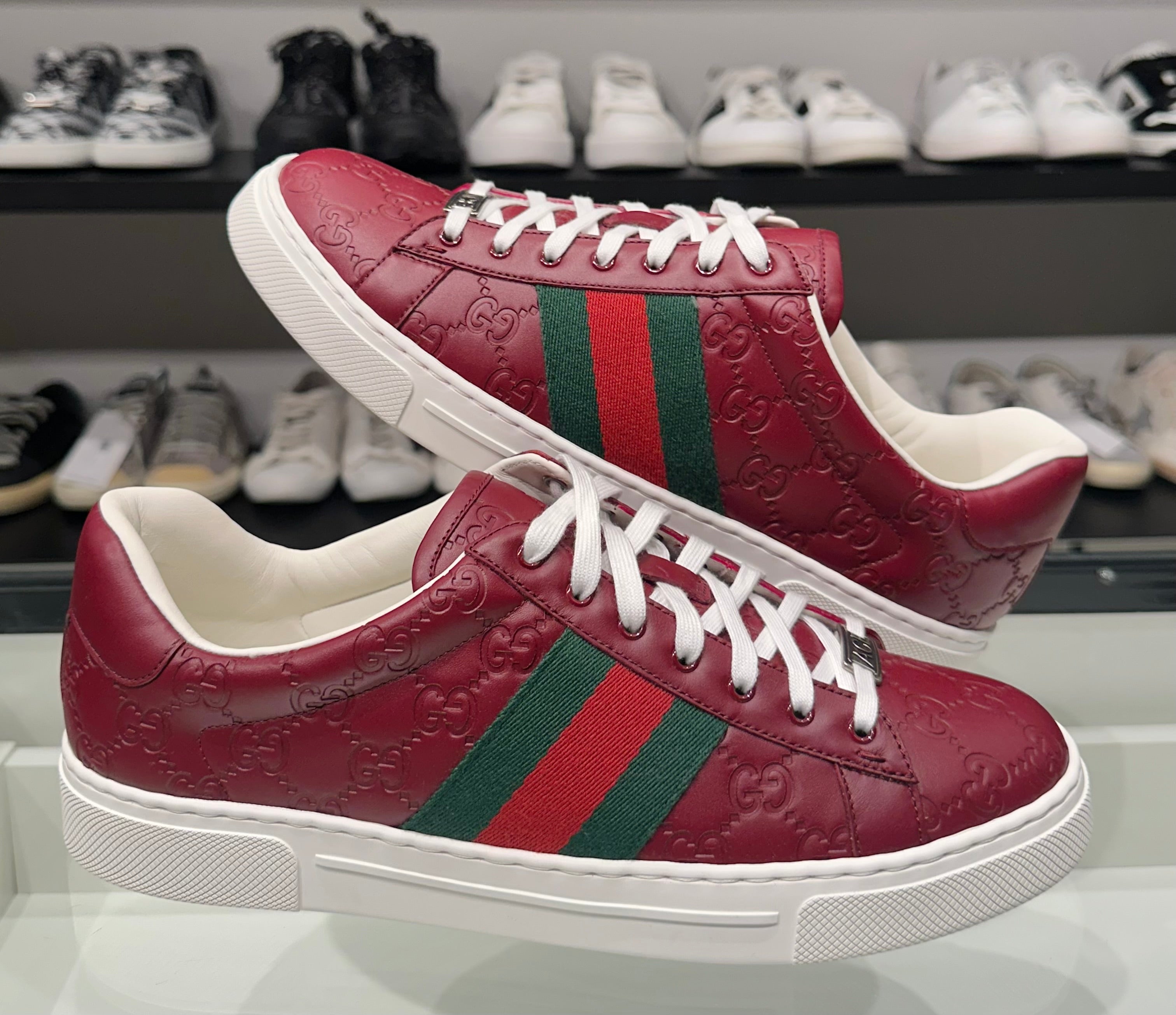Sneaker Gucci Ace