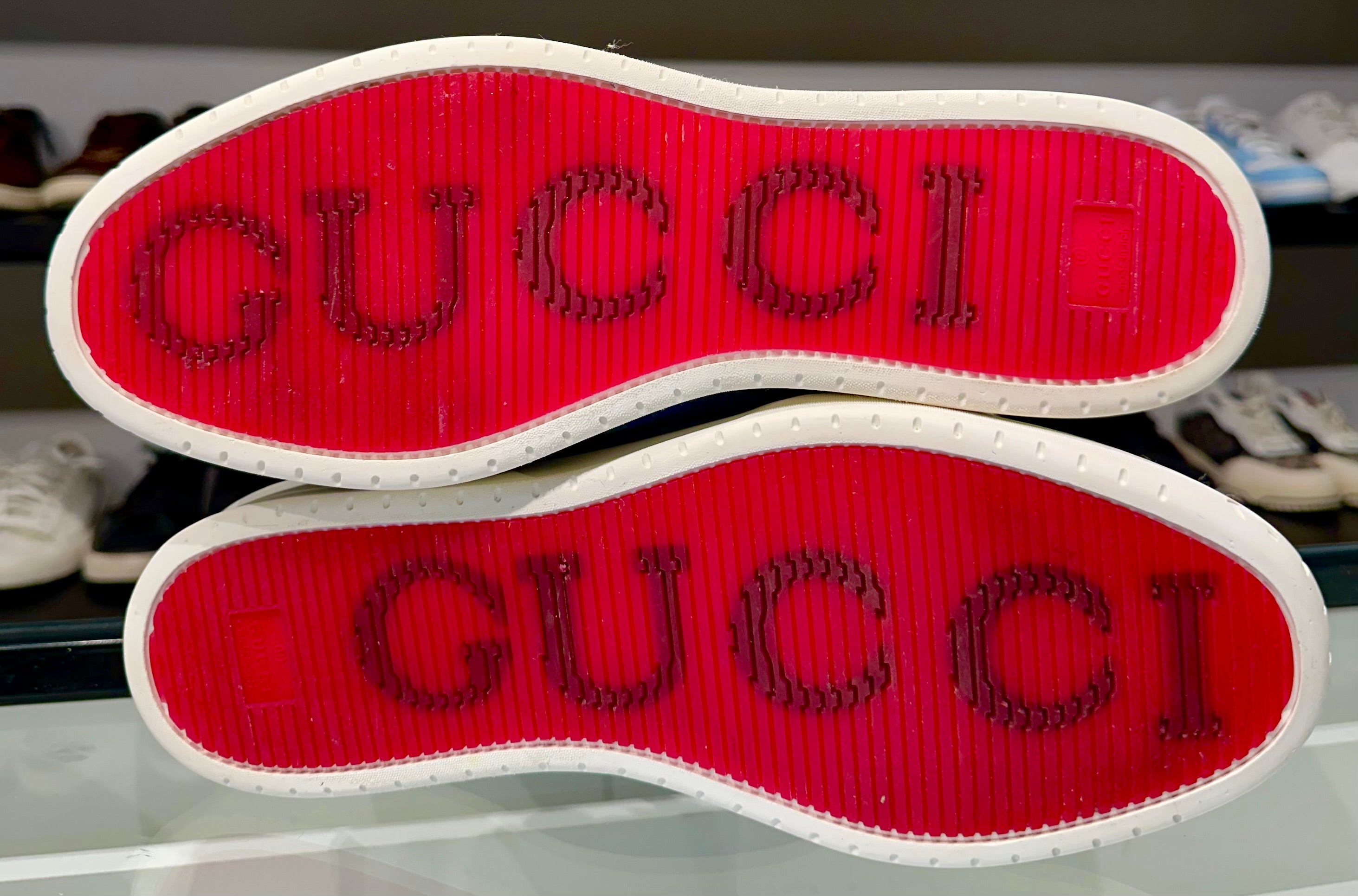 Sneaker Gucci