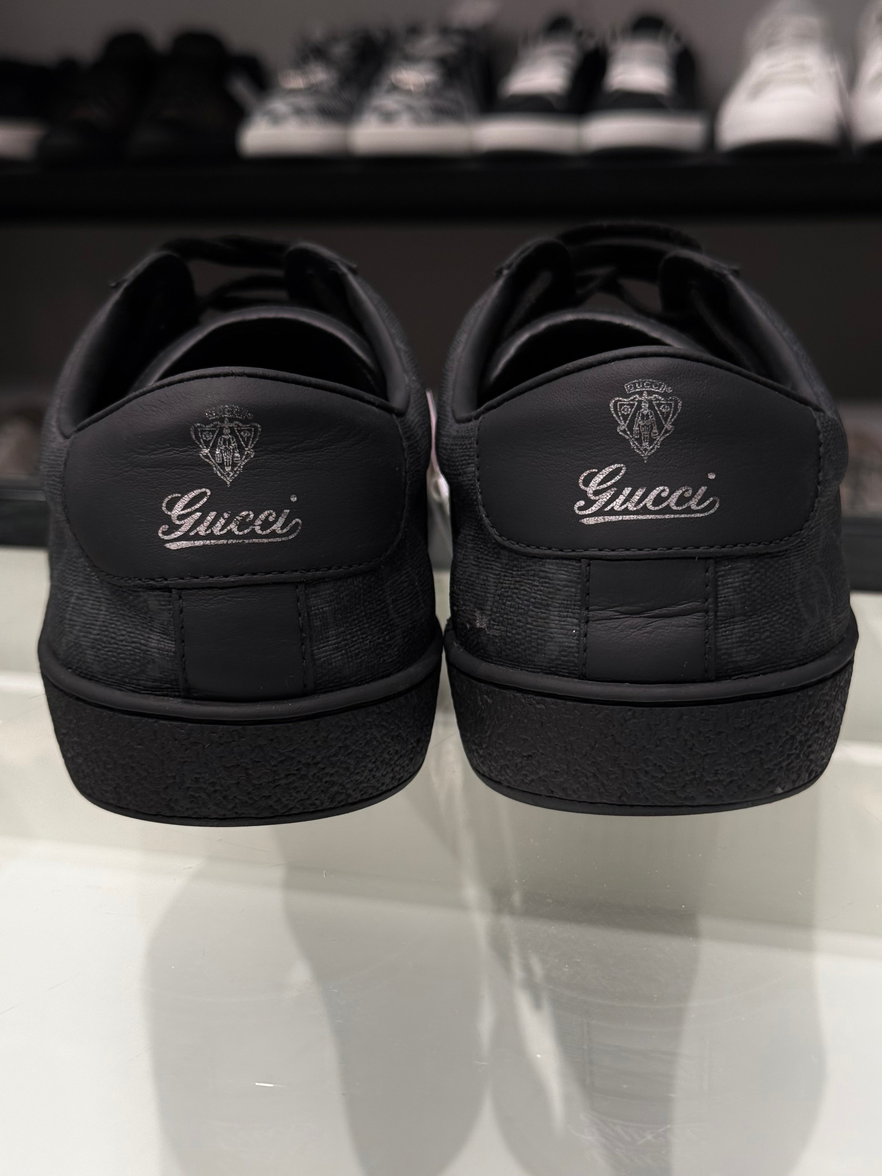 Sneaker Gucci
